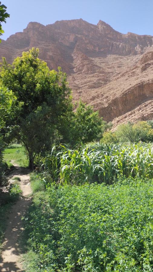 Riad Dar Ahlam Aït Baha Exterior foto